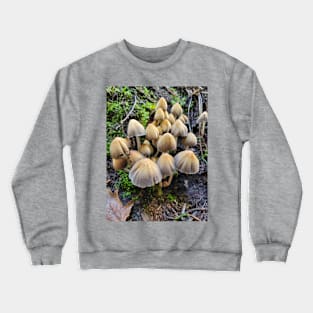 Shrooms Crewneck Sweatshirt